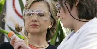 Liberalhillary