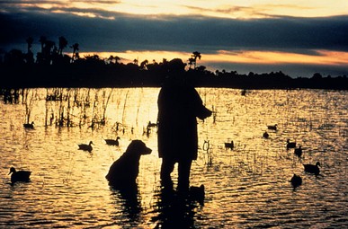 huntingandfishingrights_small Constitutional Amendments Supporting Hunting and Fishing on State Ballots Election  
