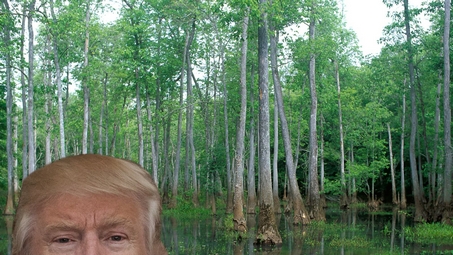 draintheswamp_small-2 The secret meaning of Donald Trump's revolutionary first 100 hours Trump  