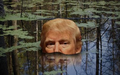 swampdeep_small-2 Tame the Swamp Politics  